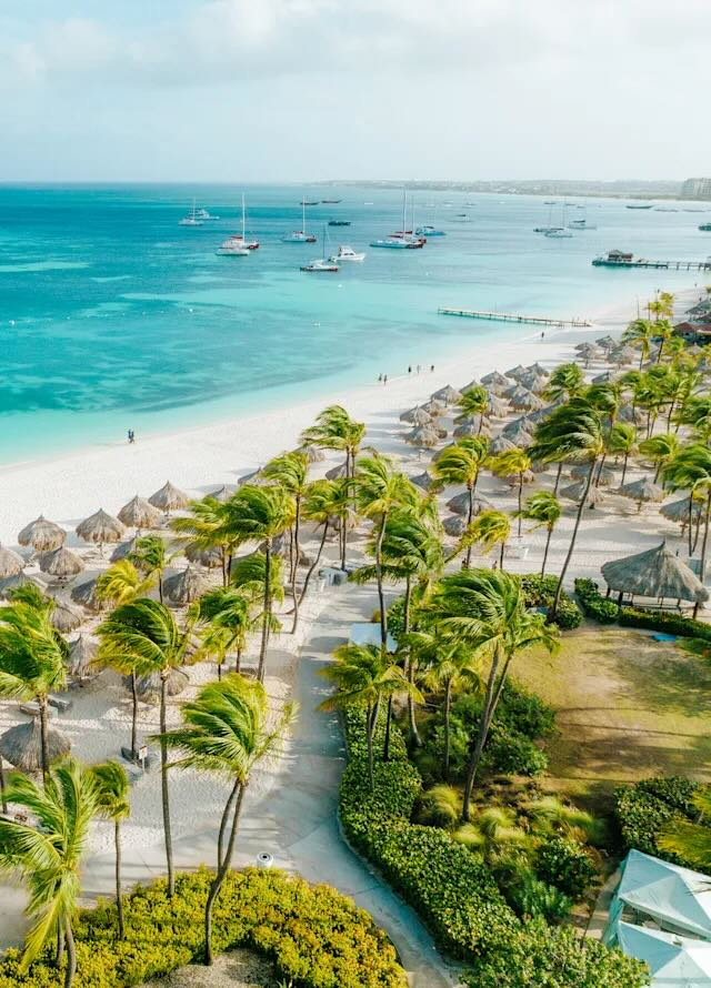 Beach_Drone_Shot
